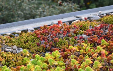 the cost of Brookeborough green roof installation