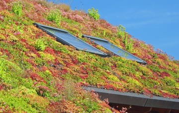 Brookeborough living roof systems